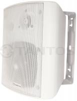 Громкоговоритель TSo-SW30k