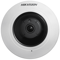 IP-камера Hikvision DS-2CD2955FWD-I IP-камера Hikvision DS-2CD2955FWD-I