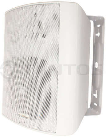 Громкоговоритель TSo-SW30k